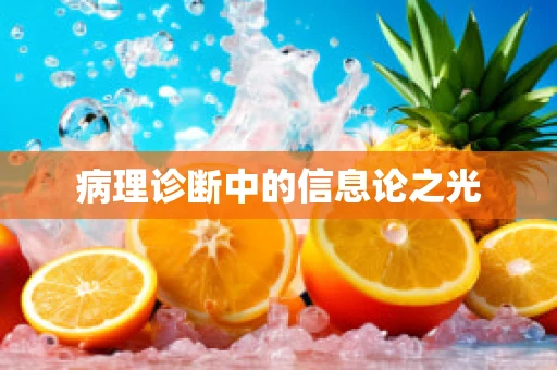 病理诊断中的信息论之光