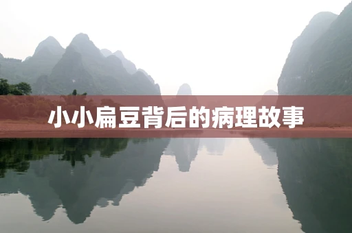 小小扁豆背后的病理故事