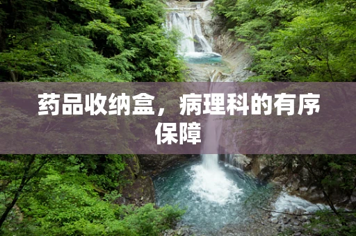 药品收纳盒，病理科的有序保障