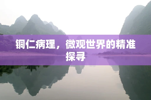 铜仁病理，微观世界的精准探寻
