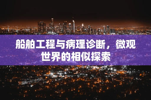 船舶工程与病理诊断，微观世界的相似探索