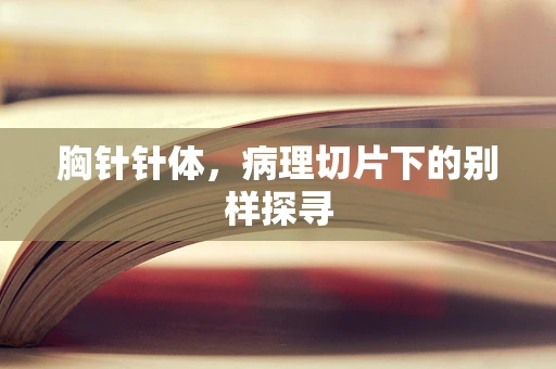 胸针针体，病理切片下的别样探寻
