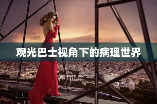 观光巴士视角下的病理世界