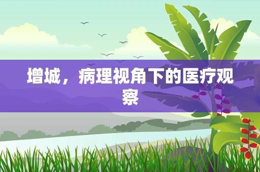 增城，病理视角下的医疗观察