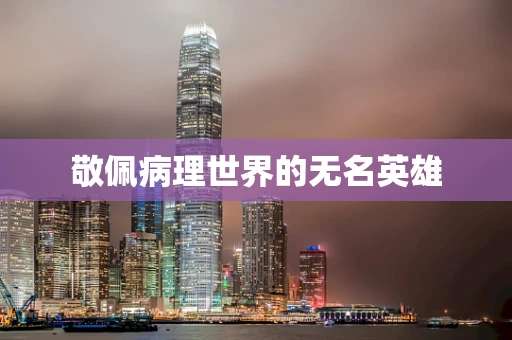 敬佩病理世界的无名英雄