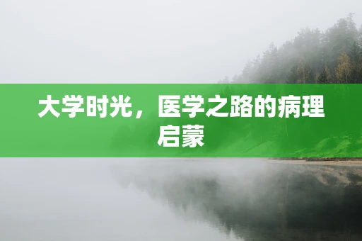 大学时光，医学之路的病理启蒙