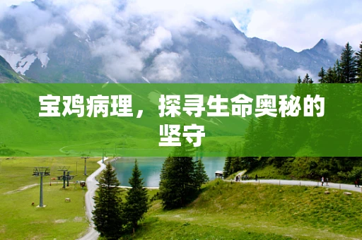 宝鸡病理，探寻生命奥秘的坚守