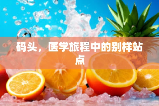 码头，医学旅程中的别样站点