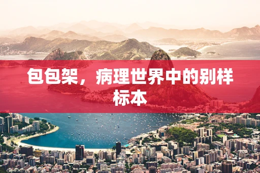 包包架，病理世界中的别样标本