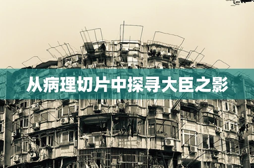 从病理切片中探寻大臣之影