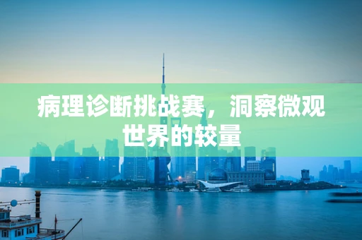 病理诊断挑战赛，洞察微观世界的较量