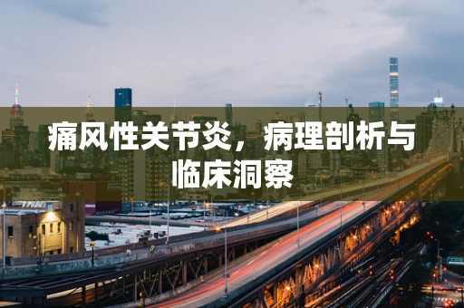 痛风性关节炎，病理剖析与临床洞察