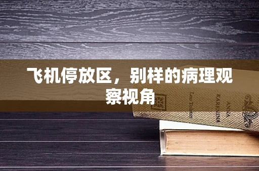 飞机停放区，别样的病理观察视角
