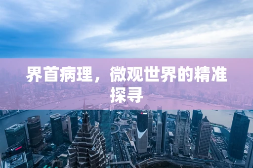 界首病理，微观世界的精准探寻
