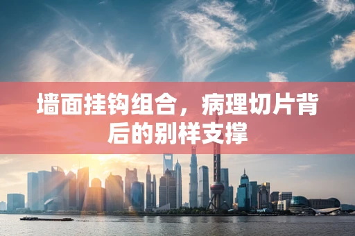 墙面挂钩组合，病理切片背后的别样支撑