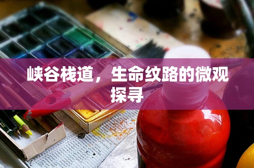 峡谷栈道，生命纹路的微观探寻