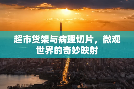 超市货架与病理切片，微观世界的奇妙映射