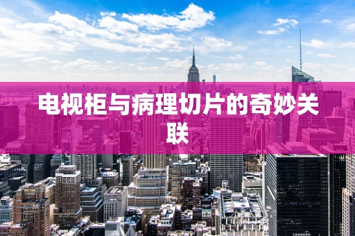 电视柜与病理切片的奇妙关联
