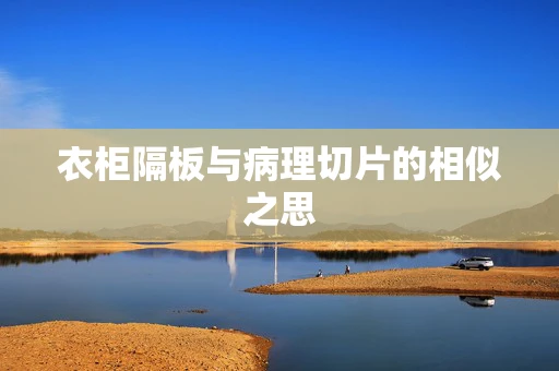 衣柜隔板与病理切片的相似之思
