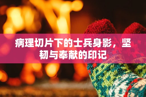 病理切片下的士兵身影，坚韧与奉献的印记