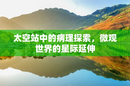 太空站中的病理探索，微观世界的星际延伸