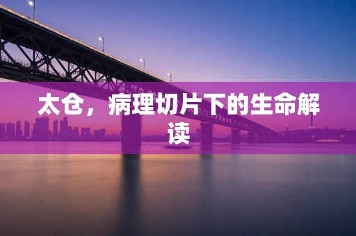 太仓，病理切片下的生命解读