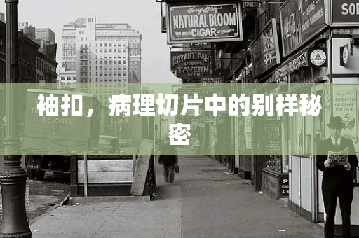 袖扣，病理切片中的别样秘密