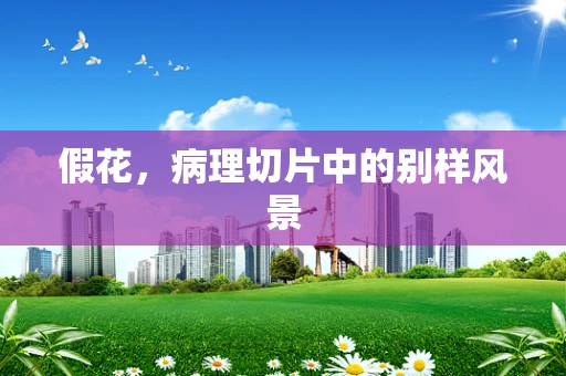 假花，病理切片中的别样风景
