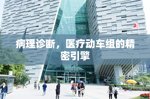 病理诊断，医疗动车组的精密引擎