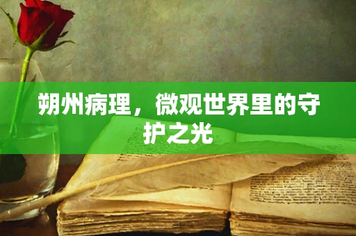朔州病理，微观世界里的守护之光