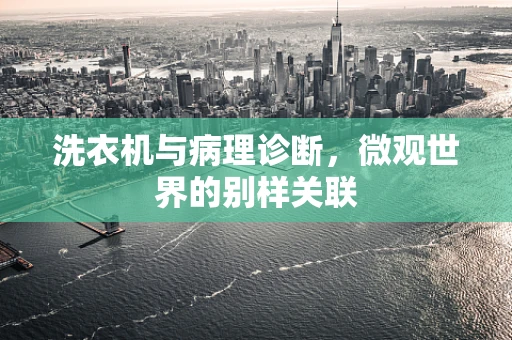 洗衣机与病理诊断，微观世界的别样关联