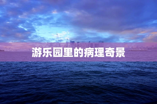 游乐园里的病理奇景
