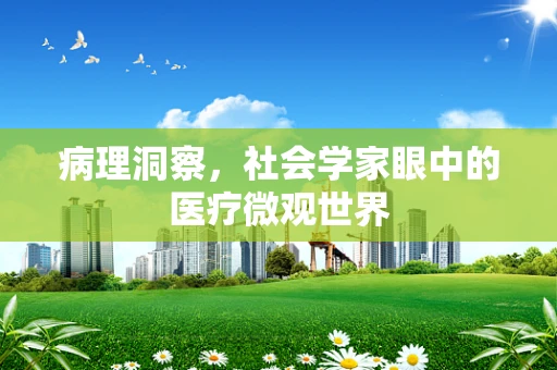 病理洞察，社会学家眼中的医疗微观世界