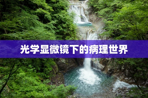 光学显微镜下的病理世界