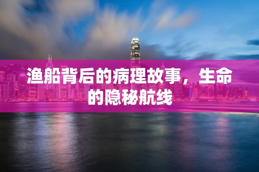 渔船背后的病理故事，生命的隐秘航线