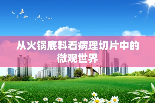 从火锅底料看病理切片中的微观世界
