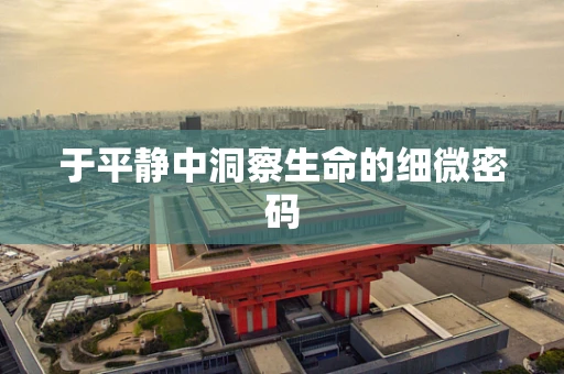 于平静中洞察生命的细微密码