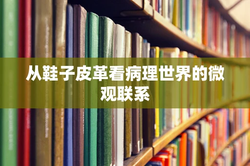 从鞋子皮革看病理世界的微观联系