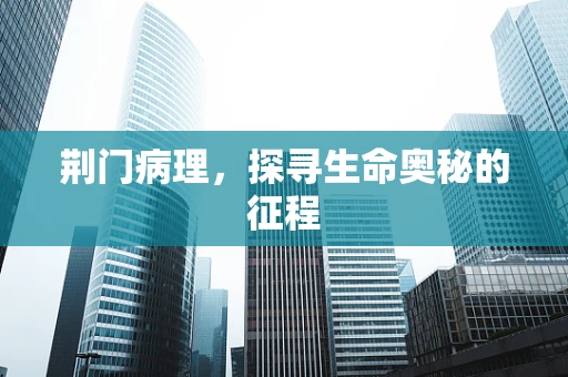 荆门病理，探寻生命奥秘的征程