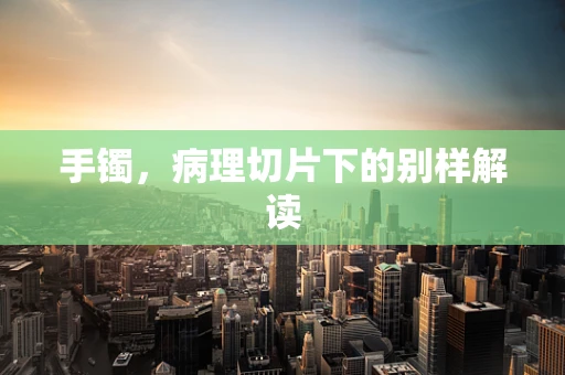 手镯，病理切片下的别样解读
