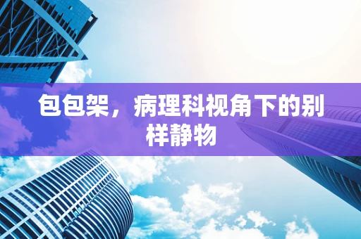 包包架，病理科视角下的别样静物