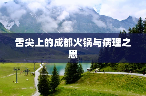 舌尖上的成都火锅与病理之思
