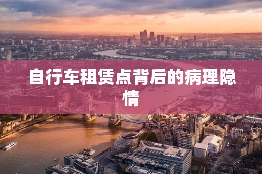 自行车租赁点背后的病理隐情