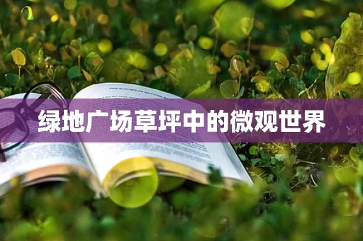 绿地广场草坪中的微观世界