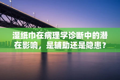 湿纸巾在病理学诊断中的潜在影响，是辅助还是隐患？