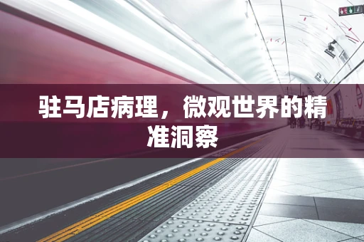 驻马店病理，微观世界的精准洞察