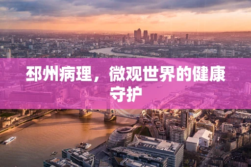 邳州病理，微观世界的健康守护