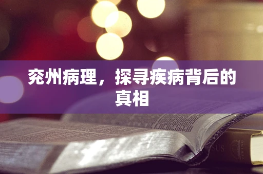兖州病理，探寻疾病背后的真相
