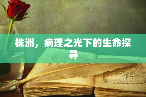 株洲，病理之光下的生命探寻