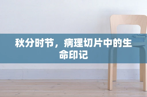 秋分时节，病理切片中的生命印记